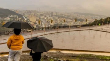 تحذير الأرصاد.. أمطار رعدية تضرب 5 مناطق سعودية وسط رياح نشطة مدفوعة بالتقلبات الجوية